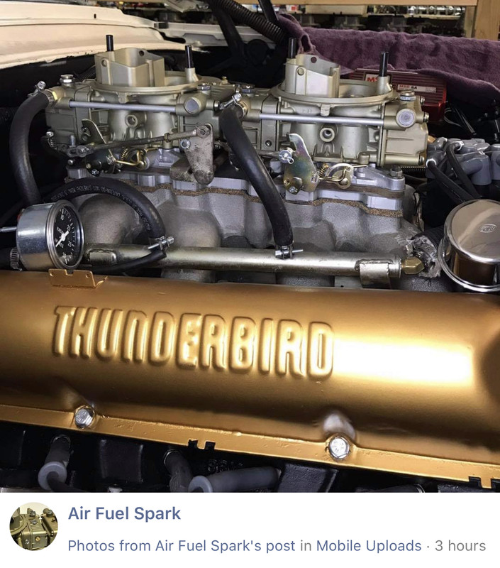 F55BD882-2121-42DC-ACF4-55E3DAB4E19D