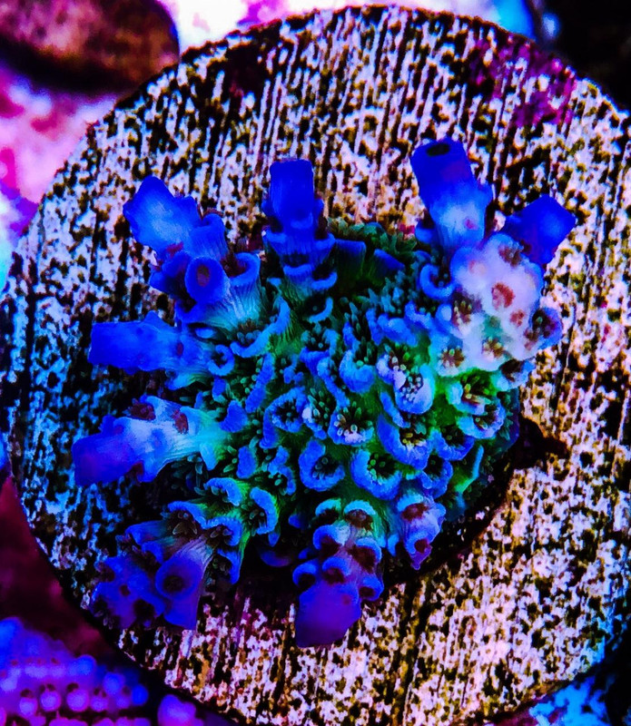 07857875-18C6-40AA-B054-3A8B2D3F1CA1