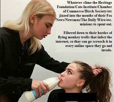 propaganda jizz heritage founsation koch brothers birch society cato institute chamber of commerce f