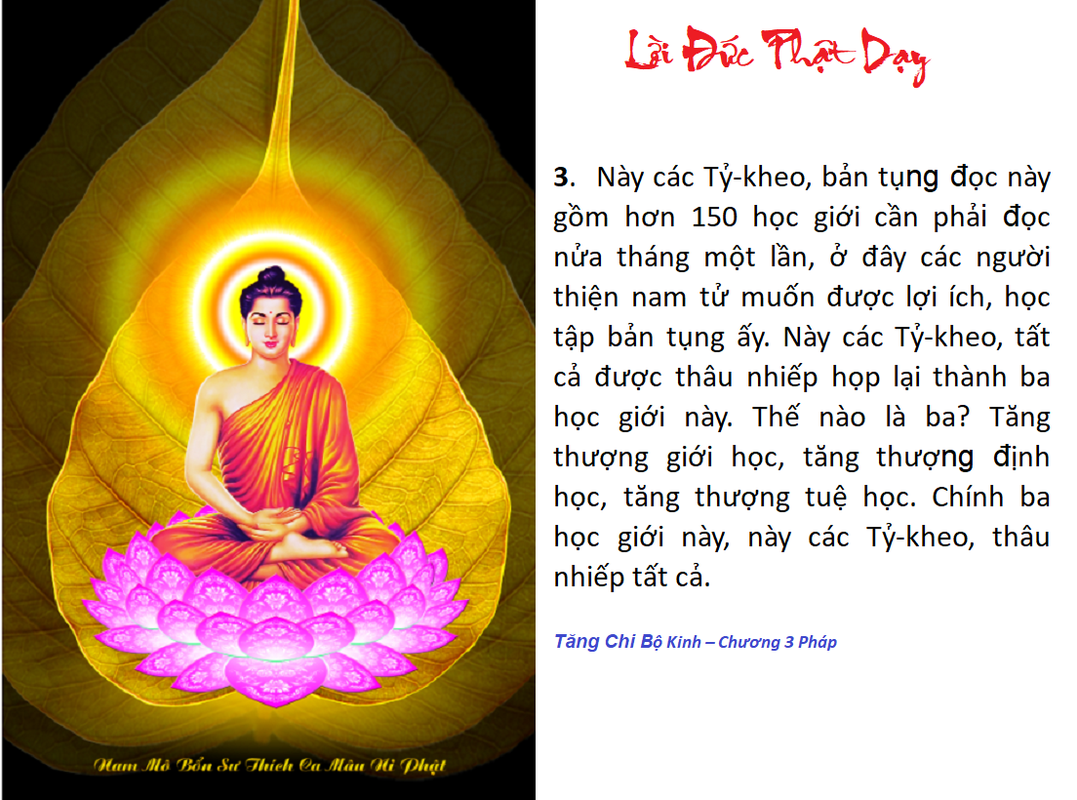 [Image: LDPD-02112024.png]