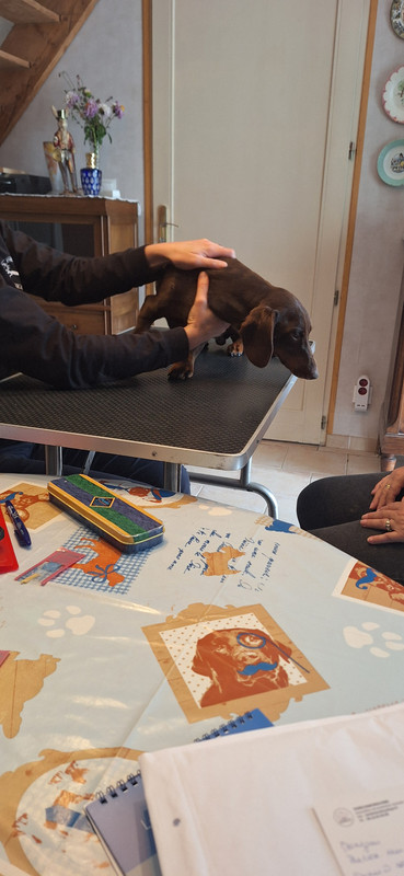 [Image: 20251002-172143.jpg]