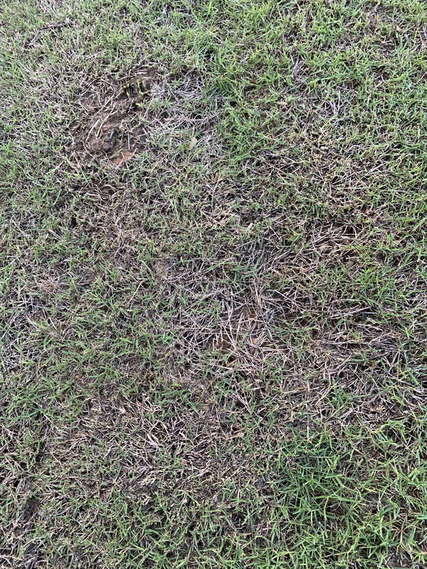 5262E414-ECB1-47FC-8019-6426D35BD028