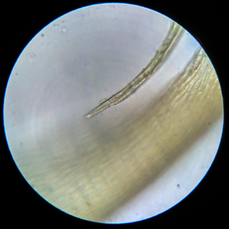 IMG 20250614 204259 HDR