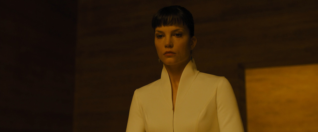 Blade Runner 2017 BluRay [Hindi + Tamil + Telugu + Kannada + English] 1080p 480p 720p ESub Screenshot