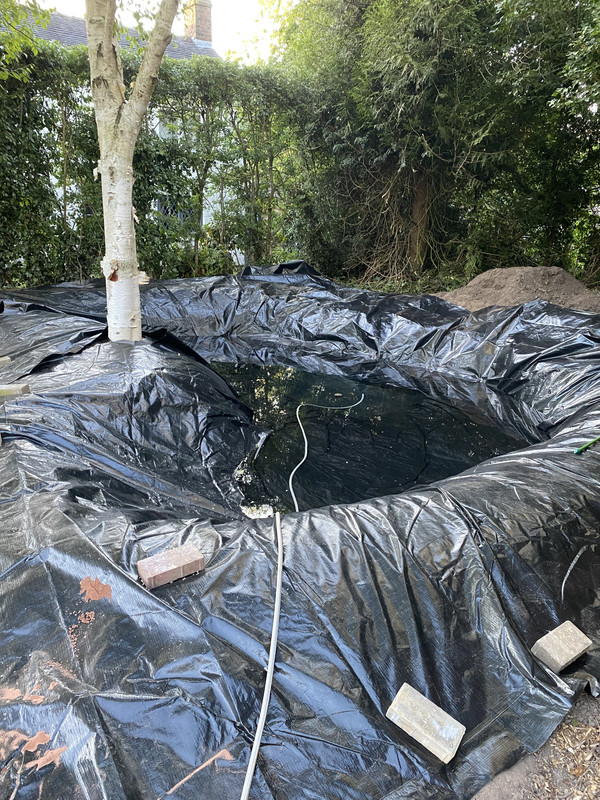 CE90E674-49A4-4B3E-B144-0C6D68064964