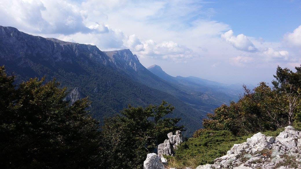 Slika