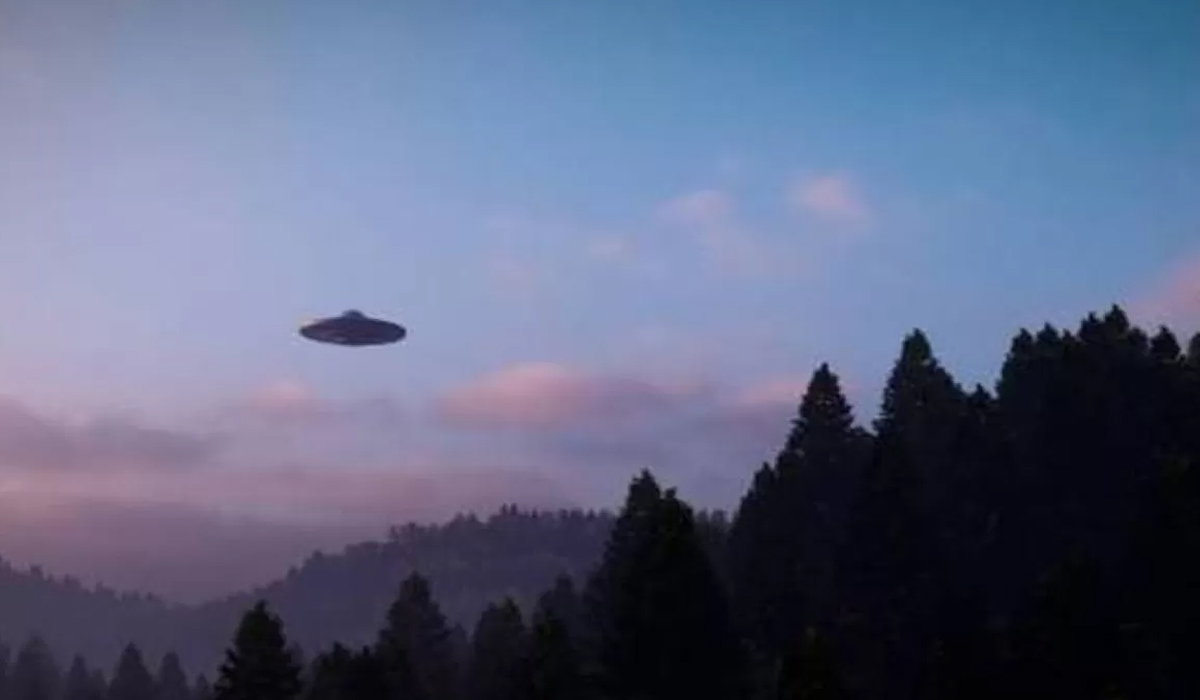 Respons Pemerintah Lokal