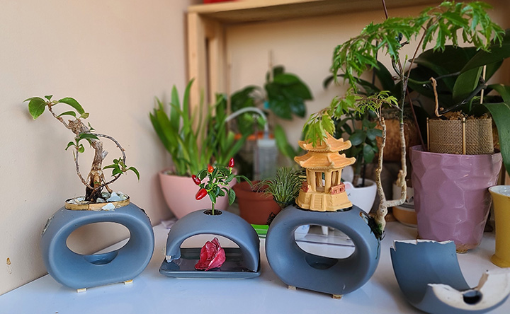 [Image: 20221108-164121.jpg]