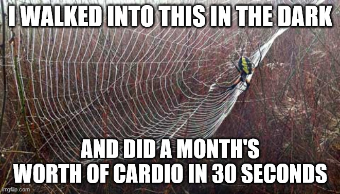 cardio.jpg