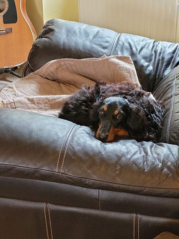 [Image: 20240709-122944.jpg]