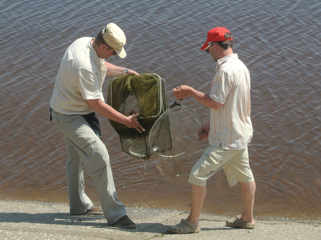 Камский фидер 2015-1 054