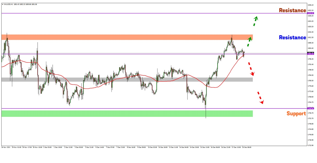 Analisa Forex FXOpen - Page 2 Gd8