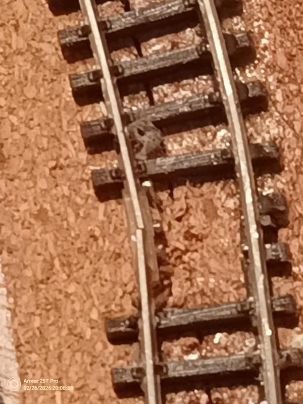 IMG 20260226 200859 415