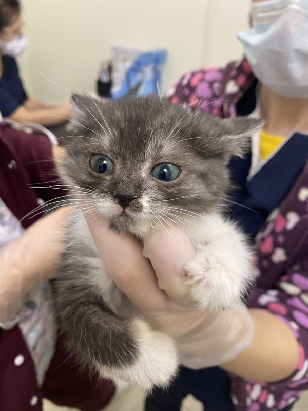 3288EAAB-7A9E-4A20-B45A-66D0DC87B7BE