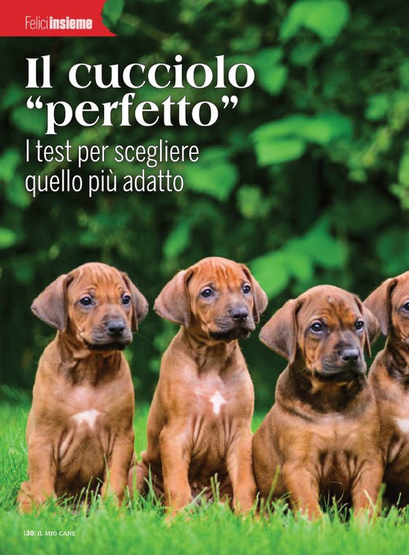 Il M C Lug-Ago 2022 (5)