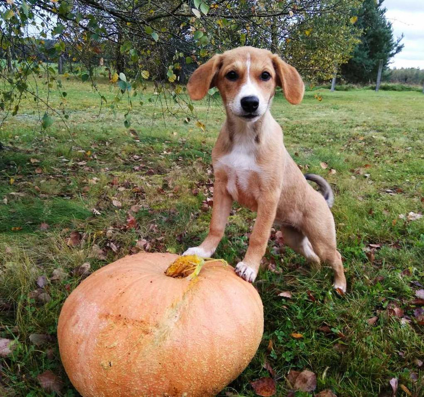 изображение_viber_2019-09-22_13-17-43