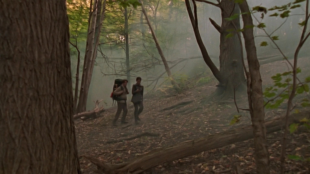 vlcsnap 2026 02 16 22h05m17s342