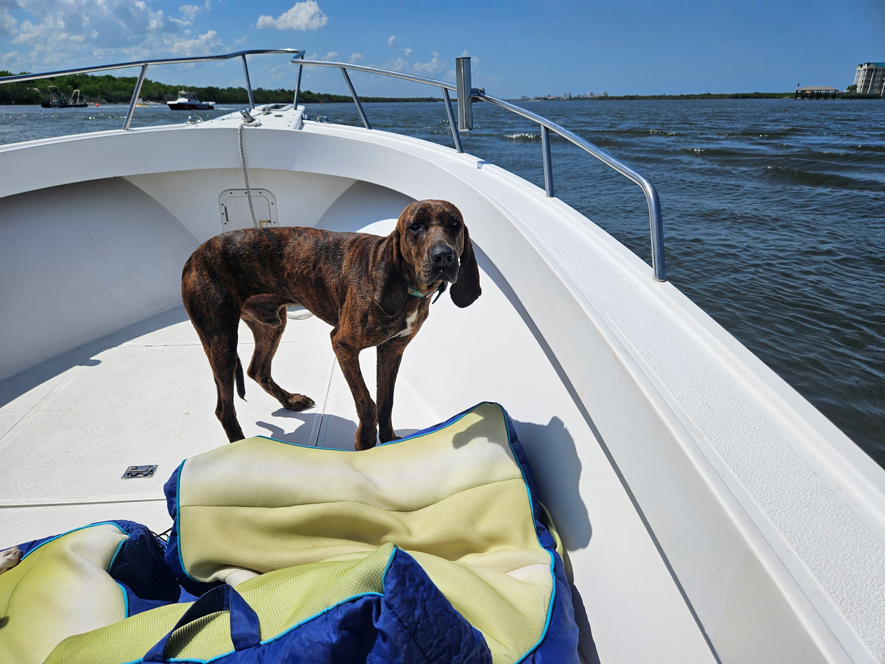 IMG 20260402 190521 (1)