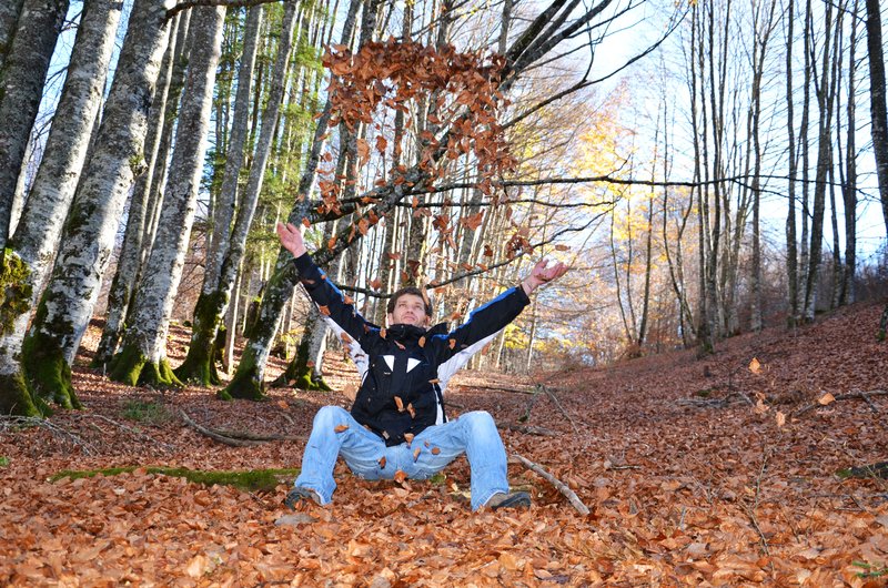 Selva de Irati-14-11-2015 - Navarra y sus pueblos-2015 (35)