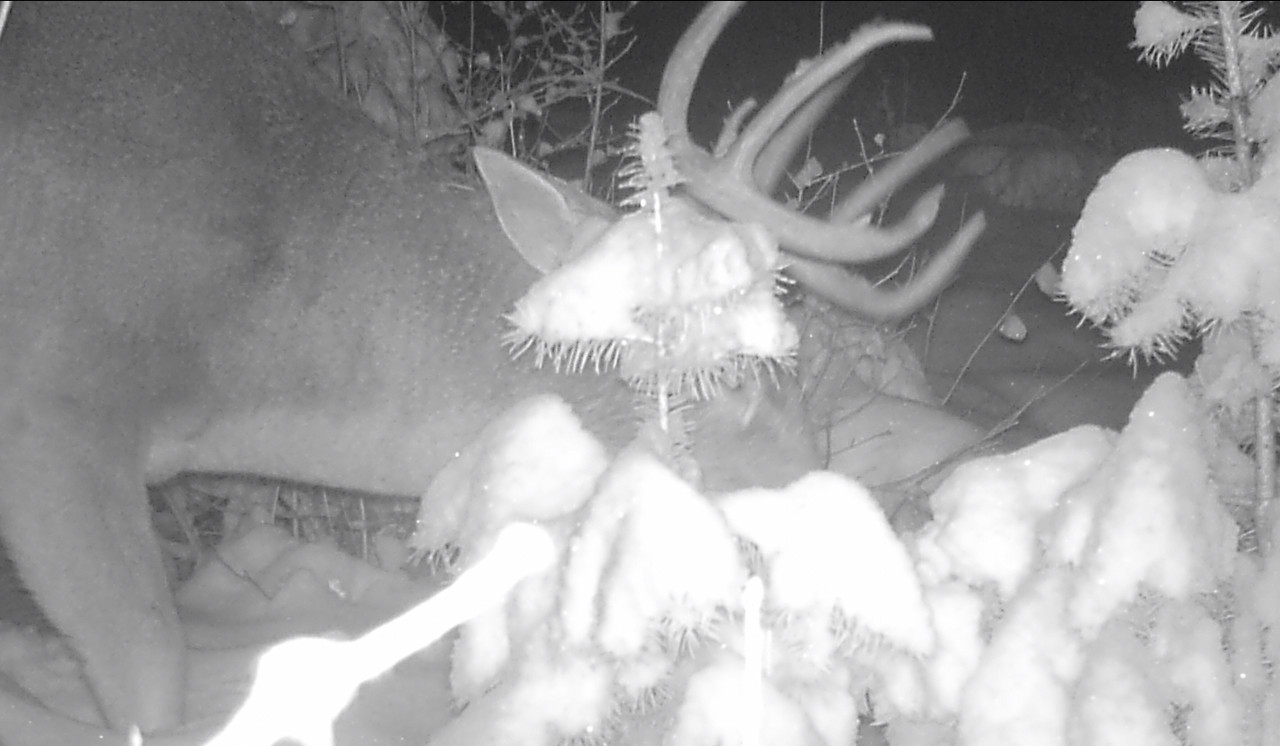 EC740375-F844-466C-BDAD-BB594F5CA5D5