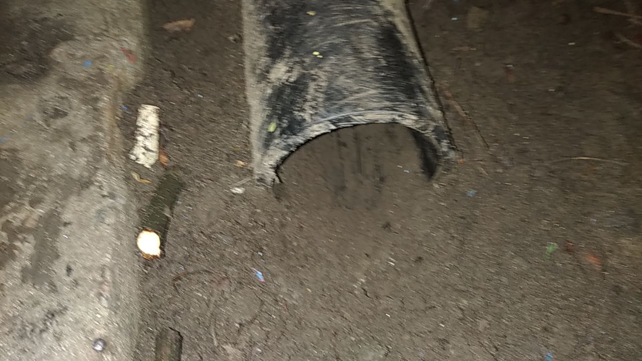 29B396A5-8C28-4B7D-95F6-2180828F1B37