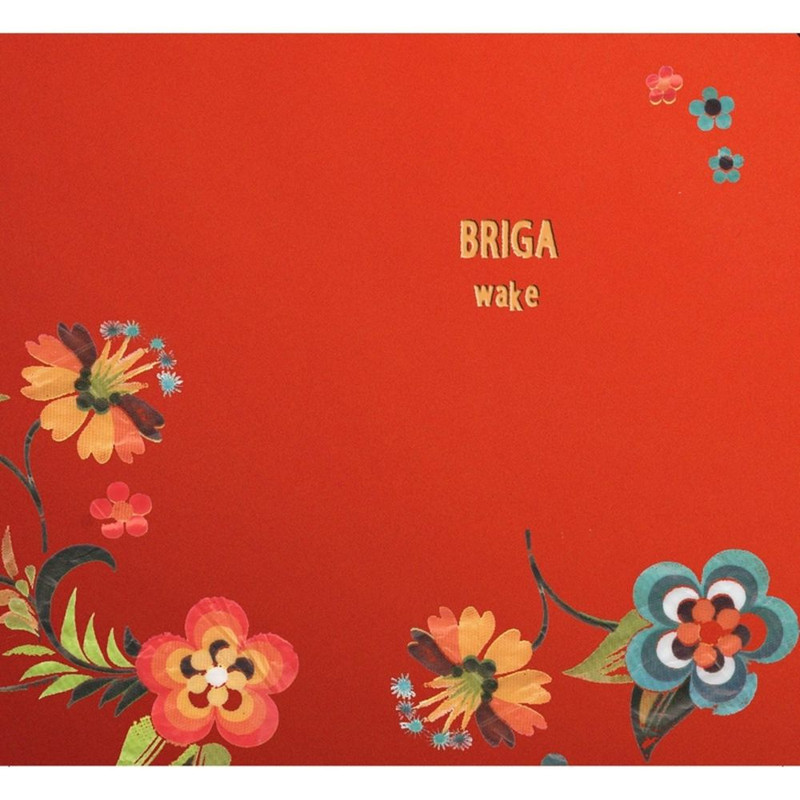 Briga - Wake (2014) .Mp3 -320 Kbps