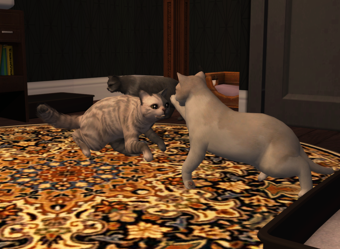 Sims2-EP9-RPC-2023-06-17-19-11-13-13