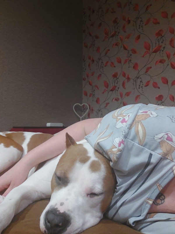 C97D6CF0-F957-4E4E-A71B-3F48EF2640BB