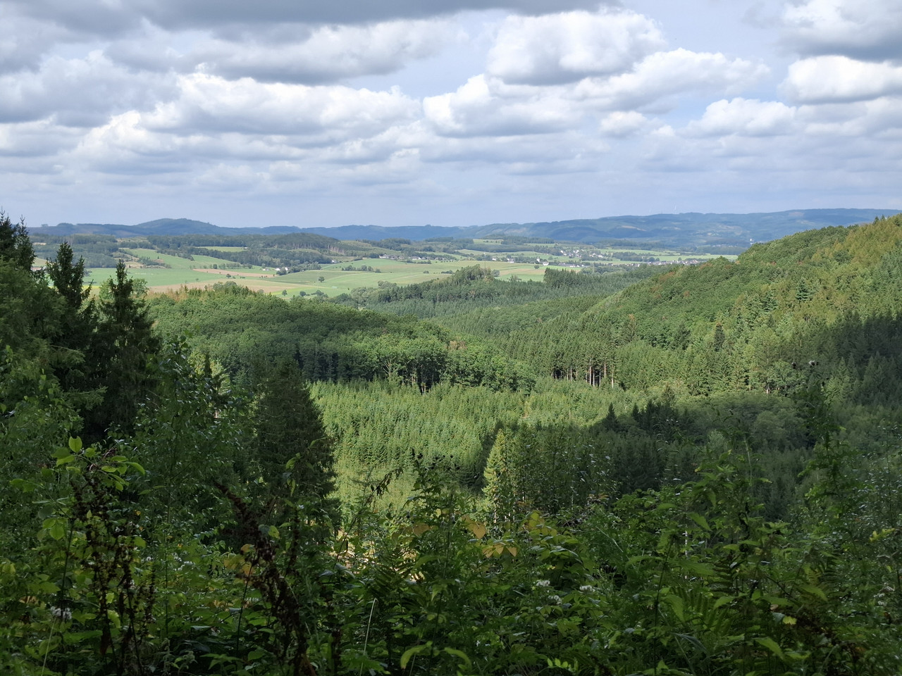 20260902-142005.jpg