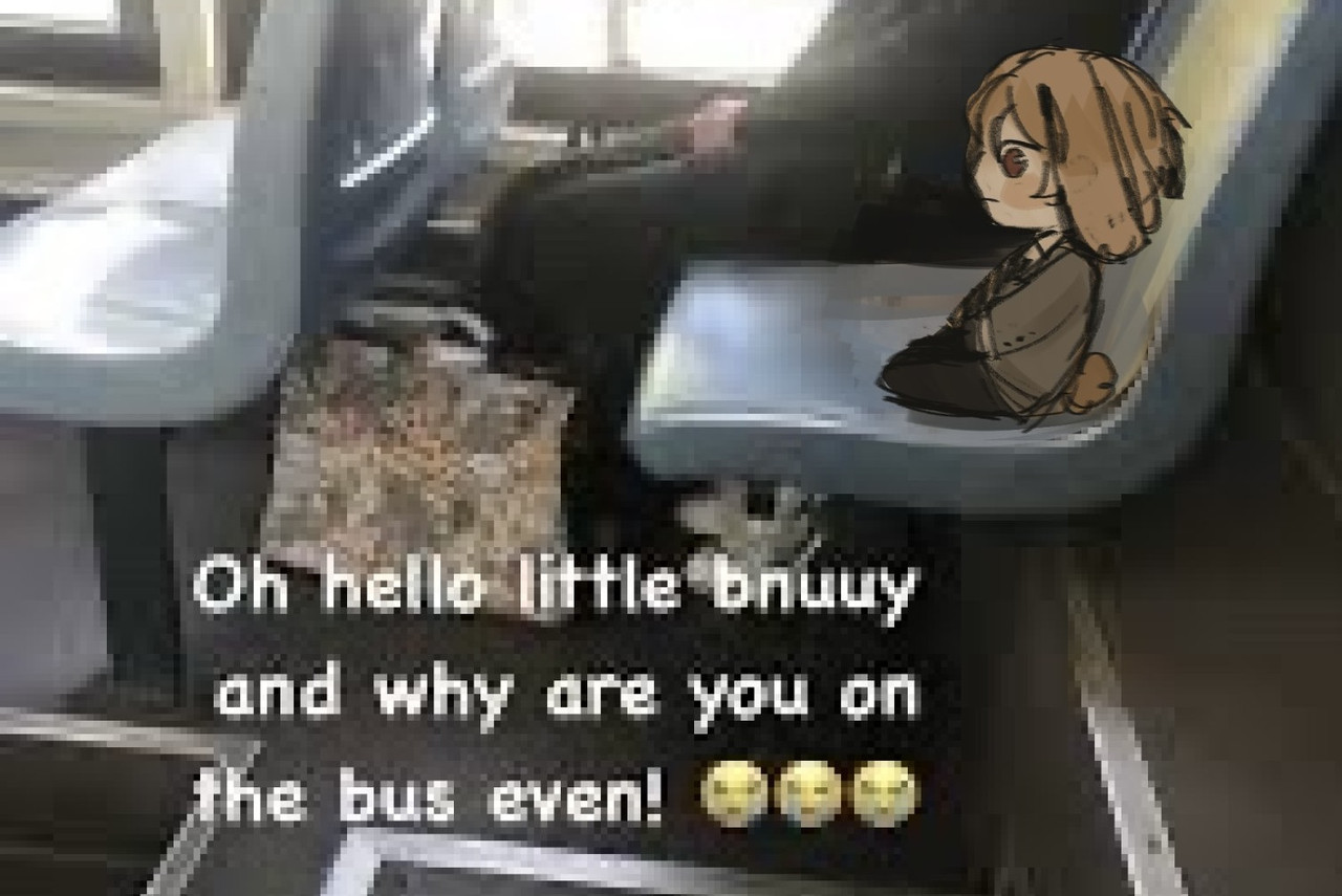 cenflore on twt? i think