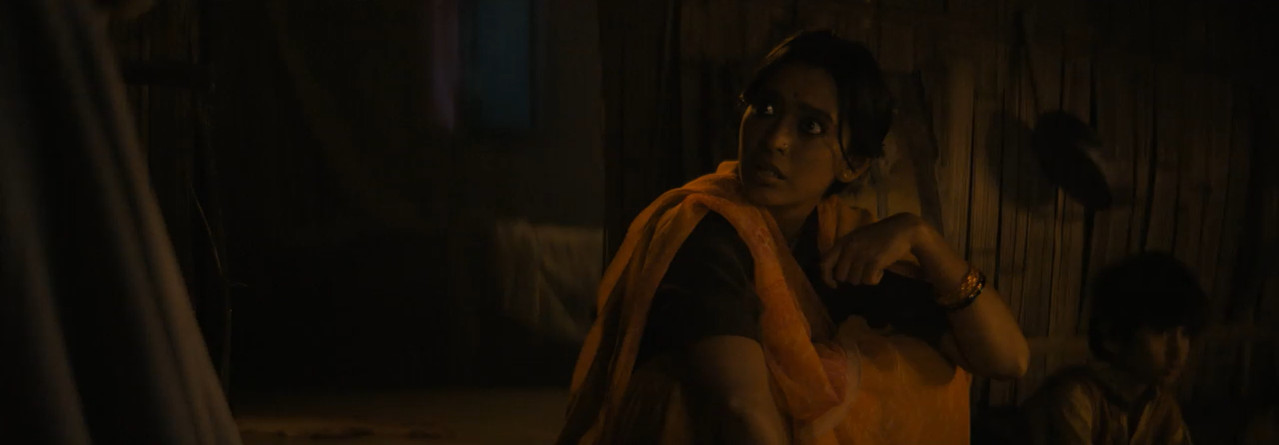 Sherdil: The Pilibhit Saga 2022 WebRip [Hindi] 480p 720p ESub Screenshot