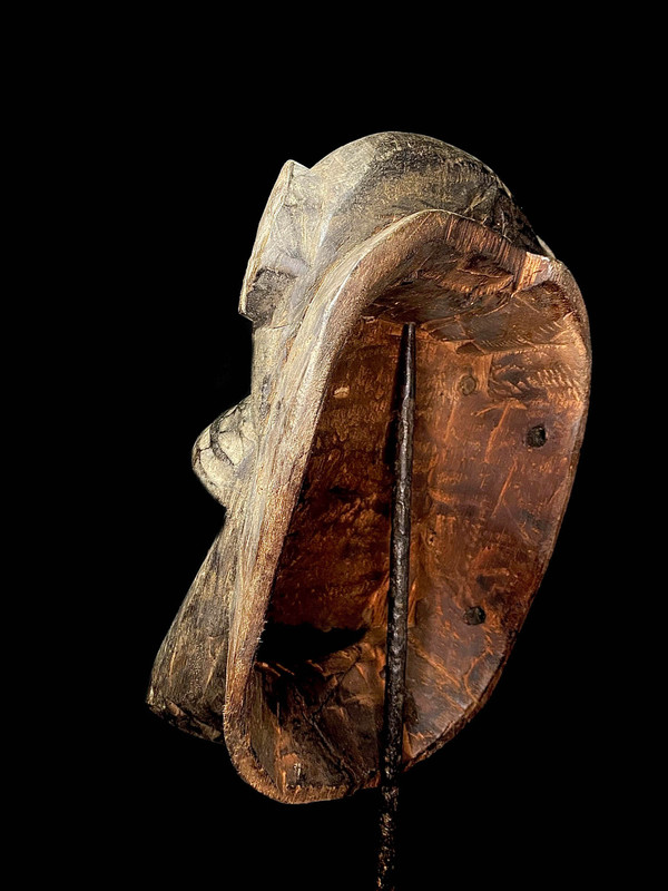 large image 10