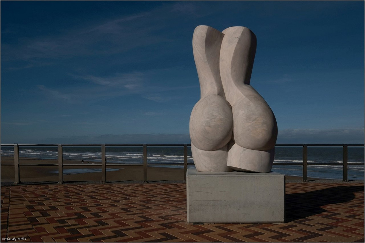 0XT23583 2018 De Haan LR ERWZ FB