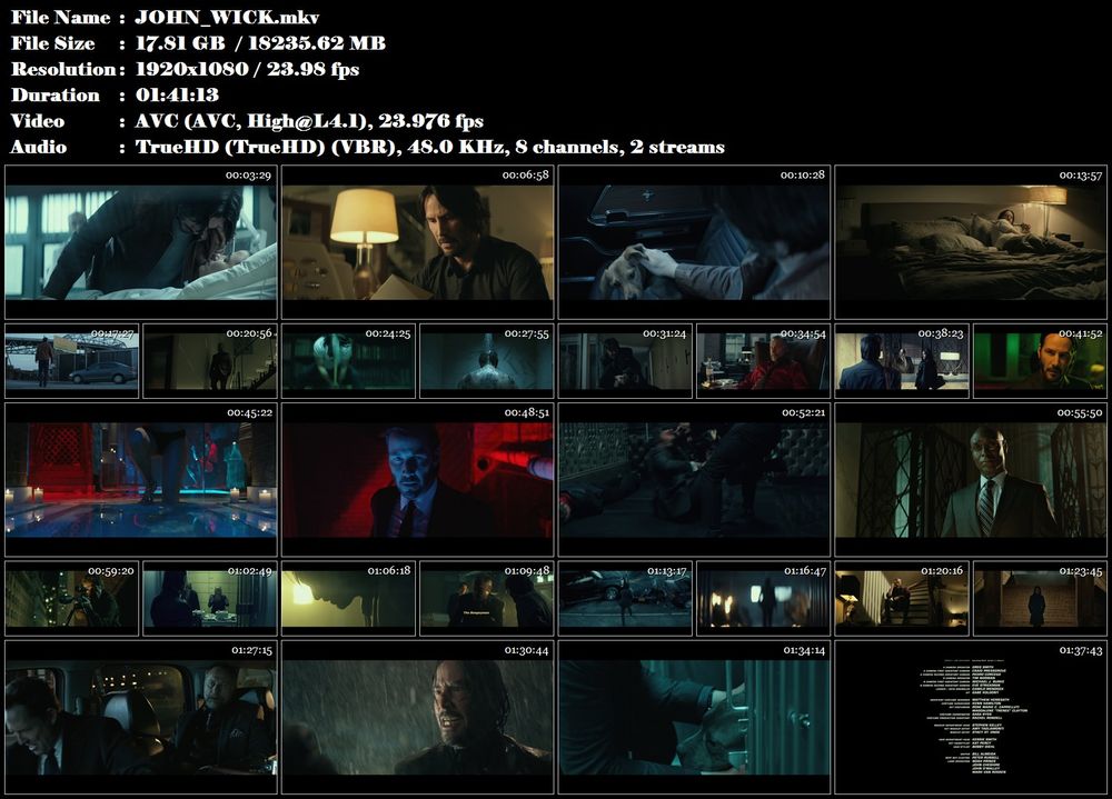 Re: John Wick (2014)