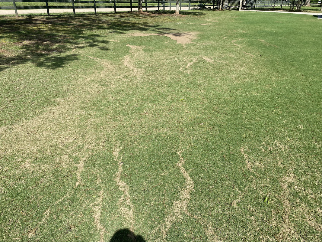 5F8D3FE0-CEA9-4B2E-9878-CB65C40BED90