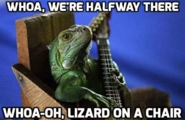 I heard a great joke about amnesia, but I forgot it Lizard-on-a-chair