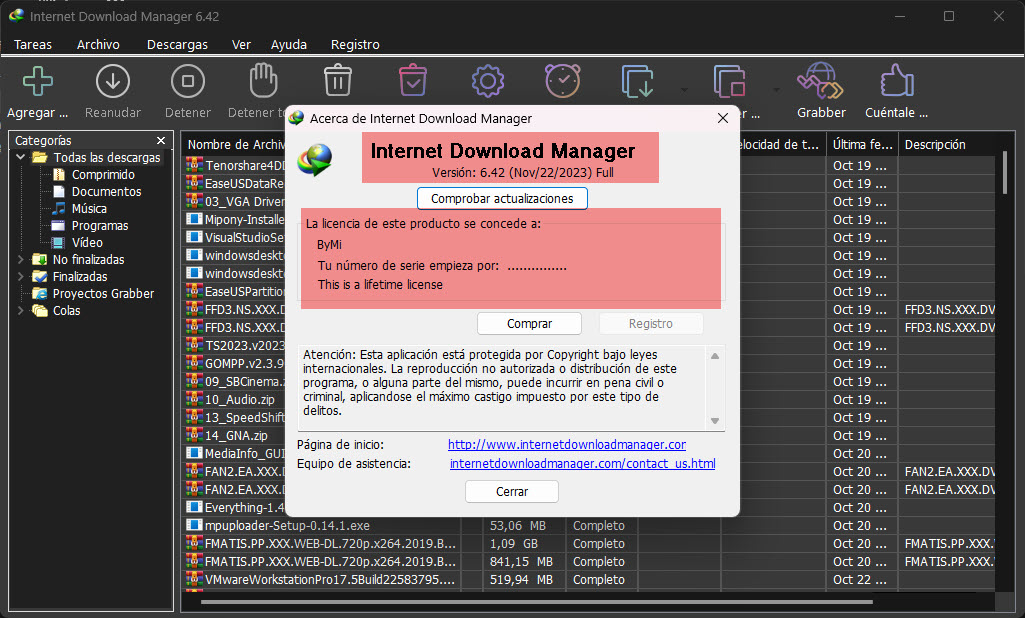 Internet Download Manager v6.42 Build 1 [Mi Favorito Gestor de Descarga] 25-11-2023-17-15-07