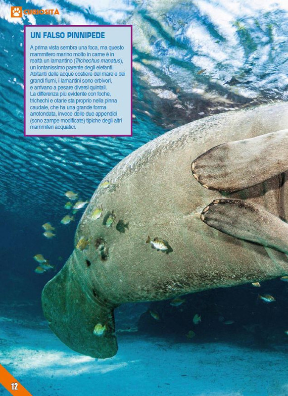 Foc Wil - Lug 2023 (1)