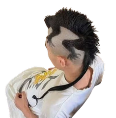 1243-removebg-preview.png
