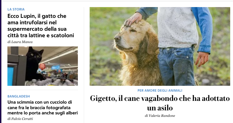 Schermata-2022-11-24-alle-12-35-11.png