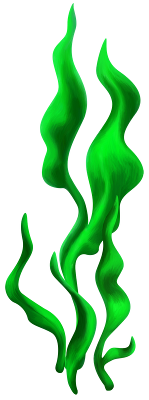 element_ks (68)