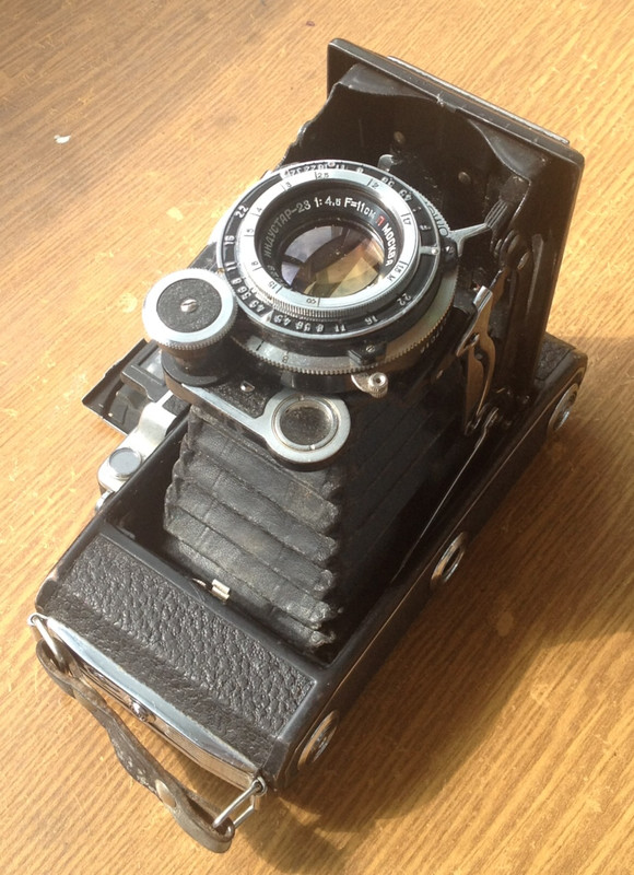 фотография (218)