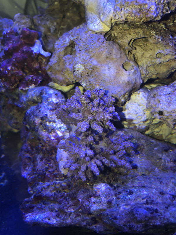 7FEFA661-0969-4C44-9AA9-C7FBC630861A