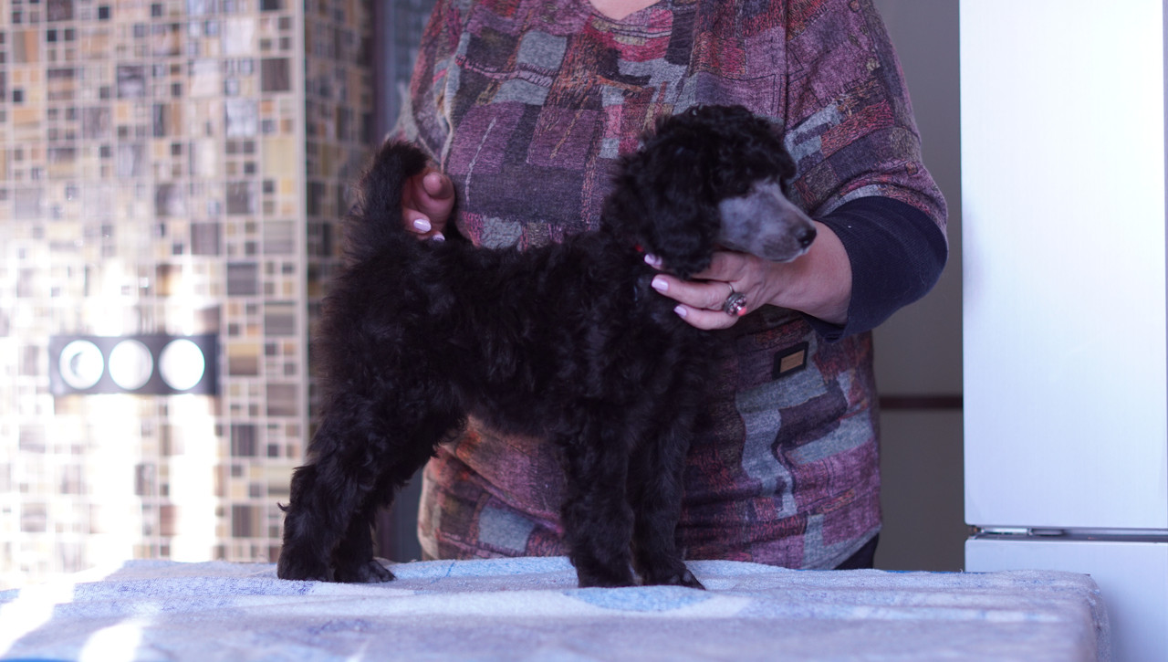 FB29BE9D-1C6B-47CF-B733-EACB620571FA