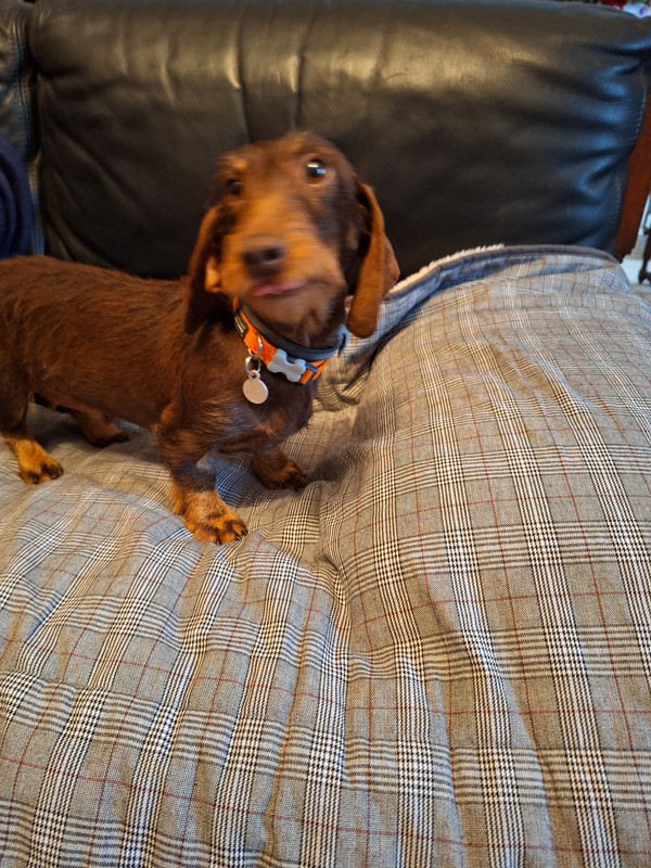 [Image: 20231223-151746.jpg]