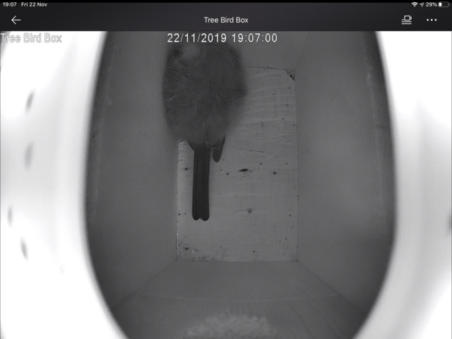 AF92CE44-A5DF-4EA1-95B7-49F076B786B0