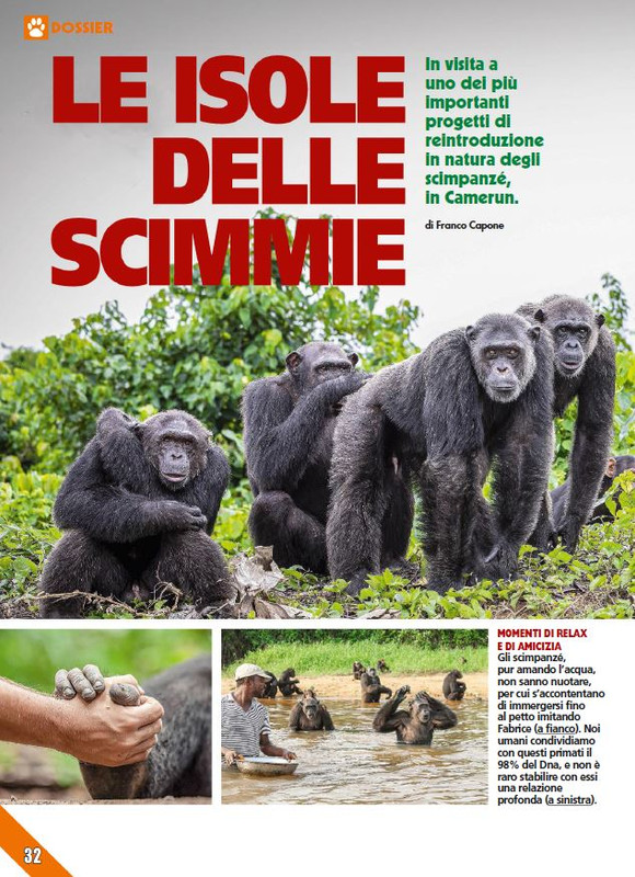 Foc Wil - Feb 2024 (7)