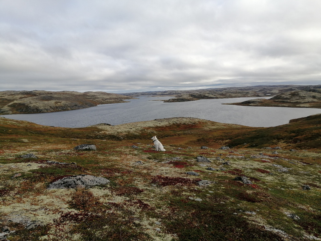 87FF163B-8E1F-42E0-8ED4-32540868F370