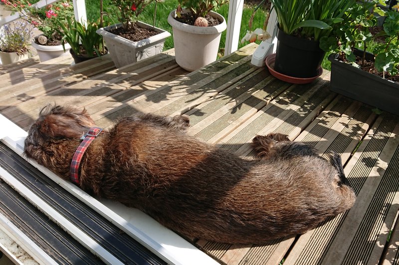 [Image: DSC-3797.jpg]