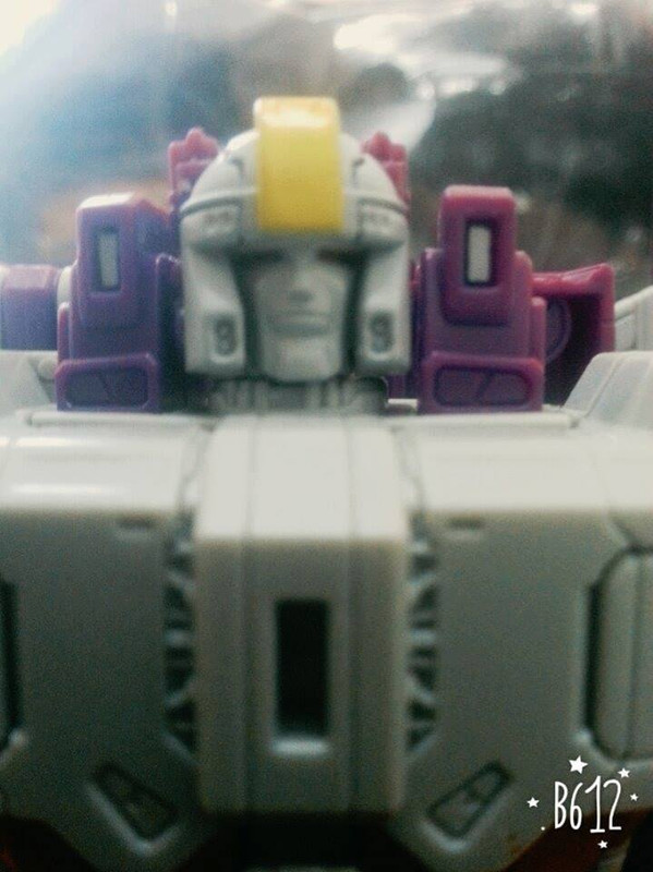 13902741_1070101653076243_8840062361732177096_n